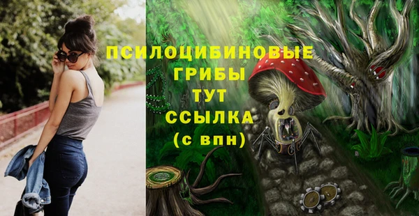 дмт Надым