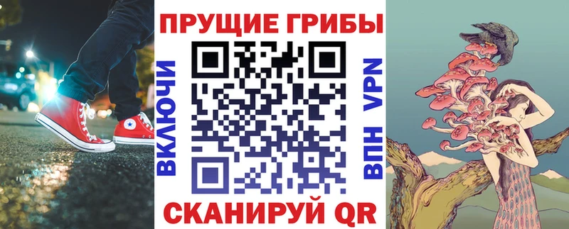 Галлюциногенные грибы Magic Shrooms  продажа наркотиков  Спас-Клепики 